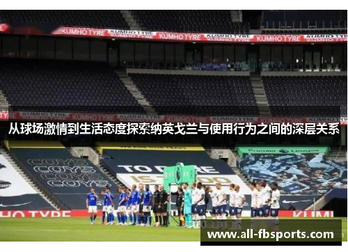 从球场激情到生活态度探索纳英戈兰与使用行为之间的深层关系 从球场激情到生活态度探索纳英戈兰与使用行为之间的深层关系