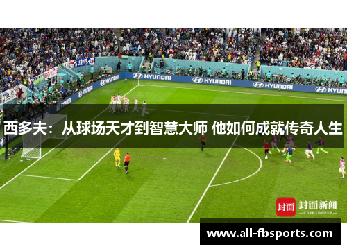 西多夫：从球场天才到智慧大师 他如何成就传奇人生