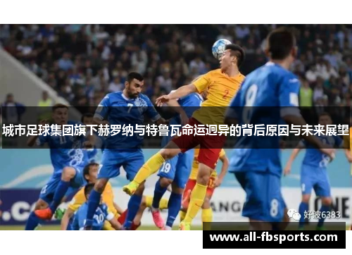 城市足球集团旗下赫罗纳与特鲁瓦命运迥异的背后原因与未来展望